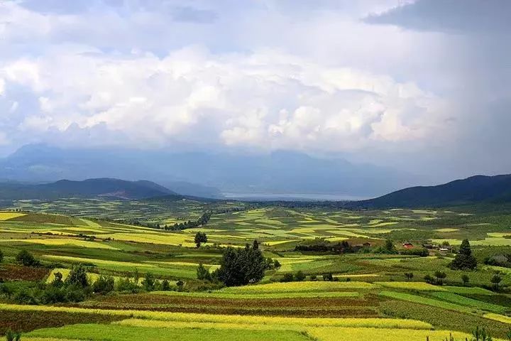 麗江·我們宿約，融入當?shù)氐奈幕罡腥久總€人