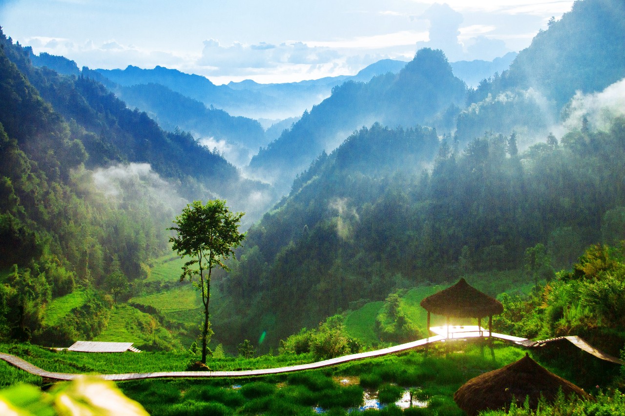 張家界·五號山谷，山谷在重生！