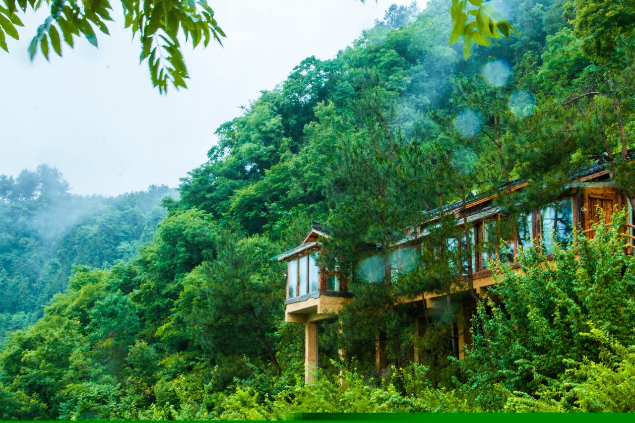 張家界·五號山谷，山谷在重生！