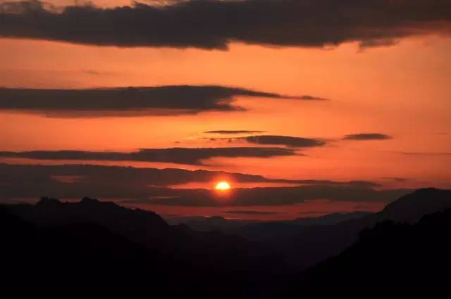 張家界·五號山谷，山谷在重生！