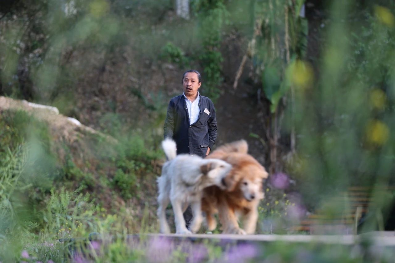 張家界·五號山谷，山谷在重生！