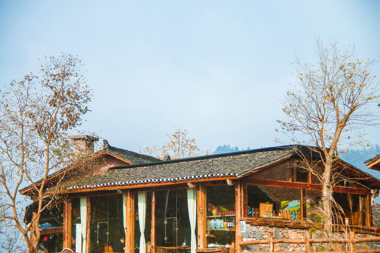 張家界·五號山谷，山谷在重生！