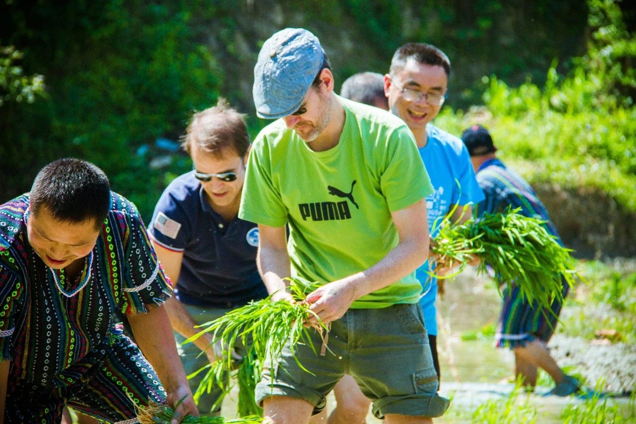 張家界·五號(hào)山谷，山谷在重生！