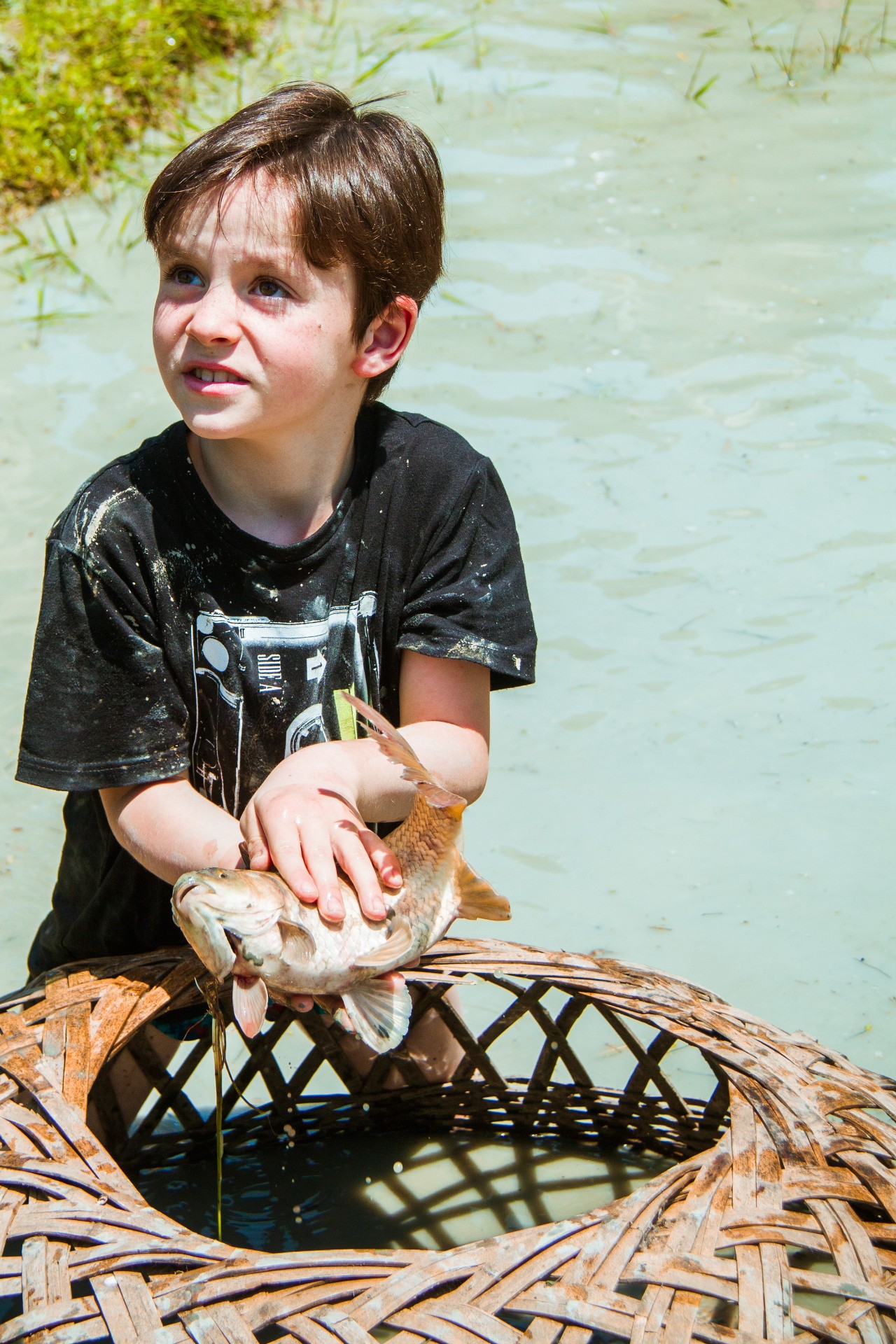 張家界·五號(hào)山谷，山谷在重生！