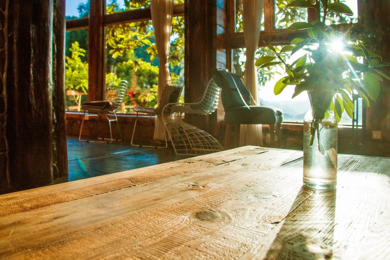 張家界·五號(hào)山谷，山谷在重生！