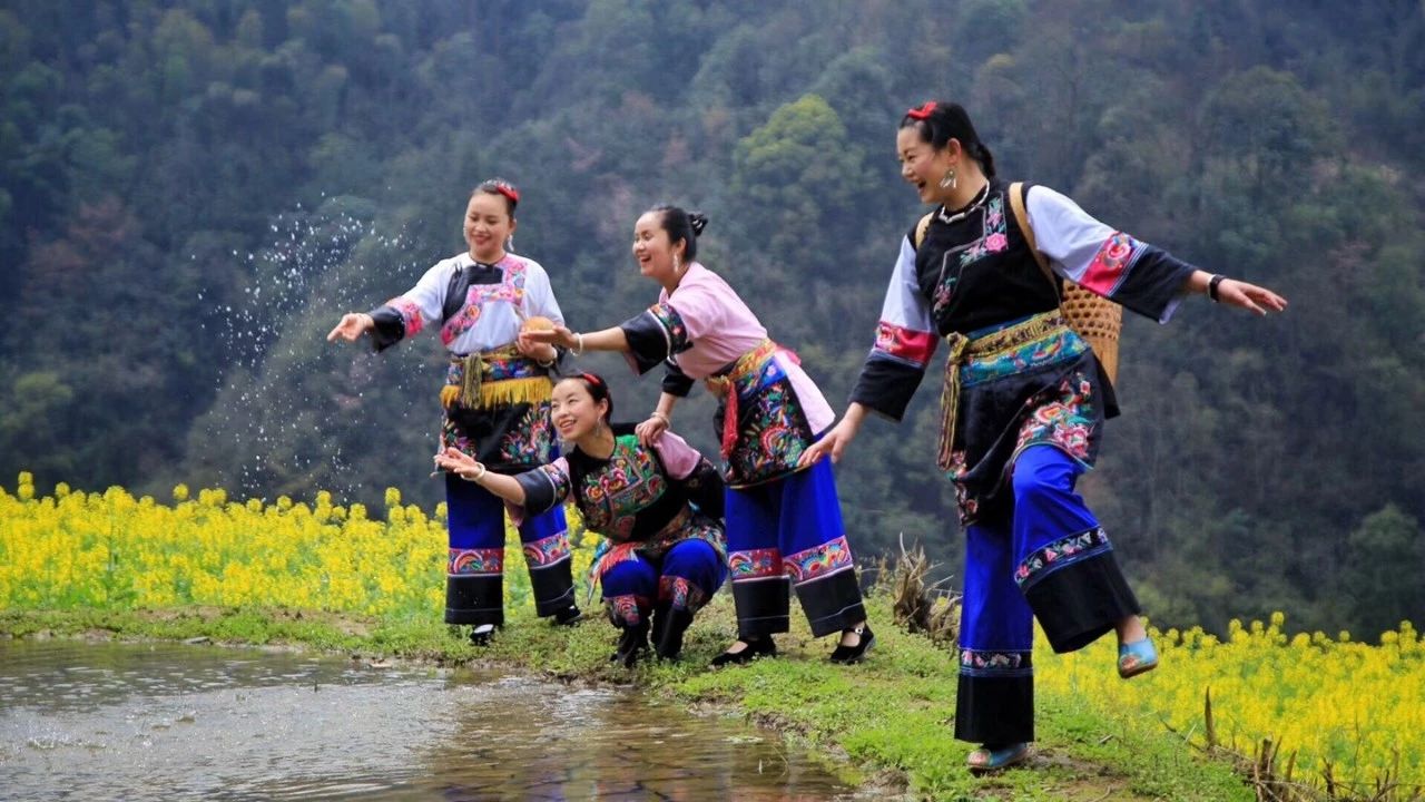 張家界·五號(hào)山谷，山谷在重生！