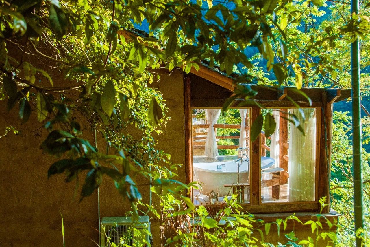 張家界·五號(hào)山谷，山谷在重生！