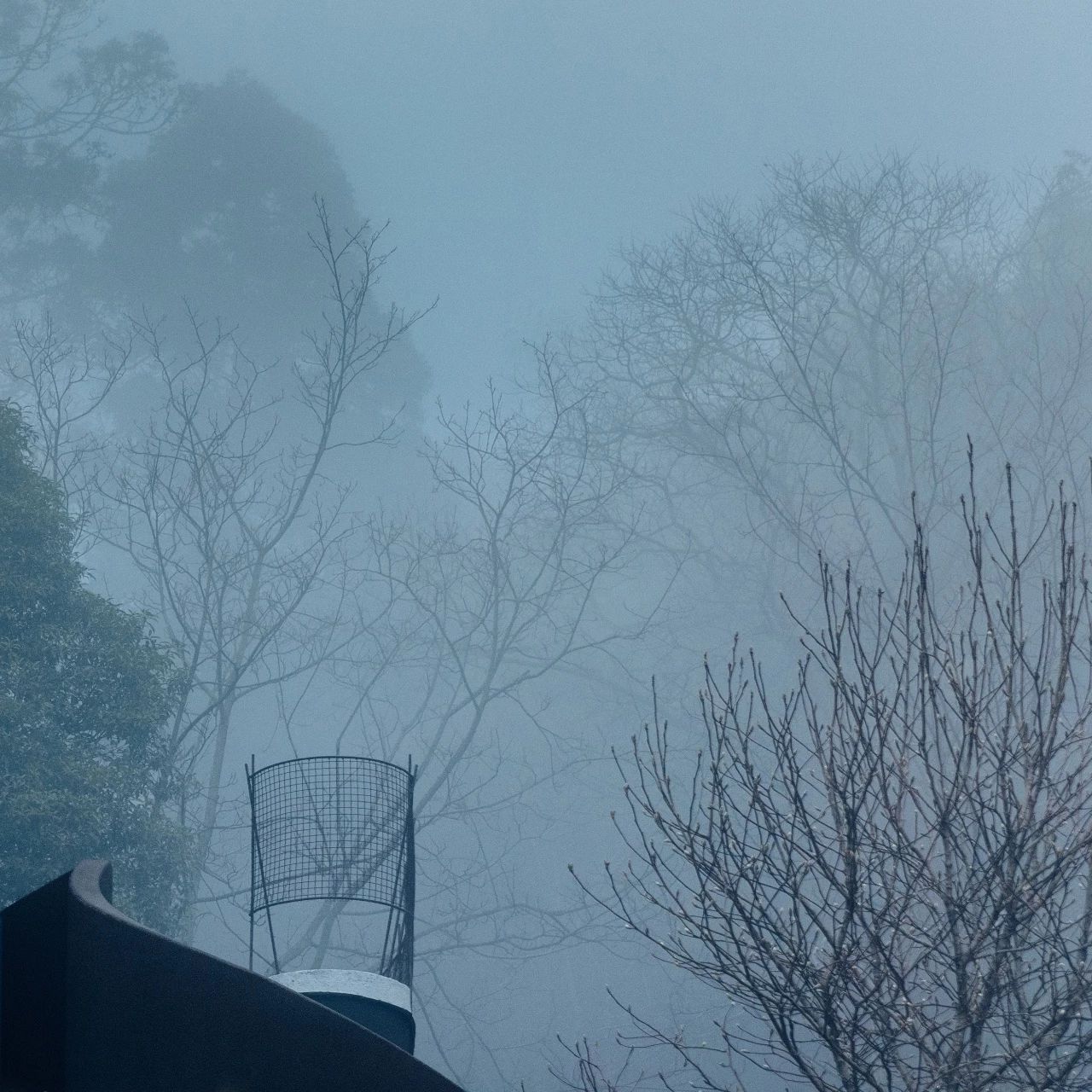 臨安·余來，讓生活重啟