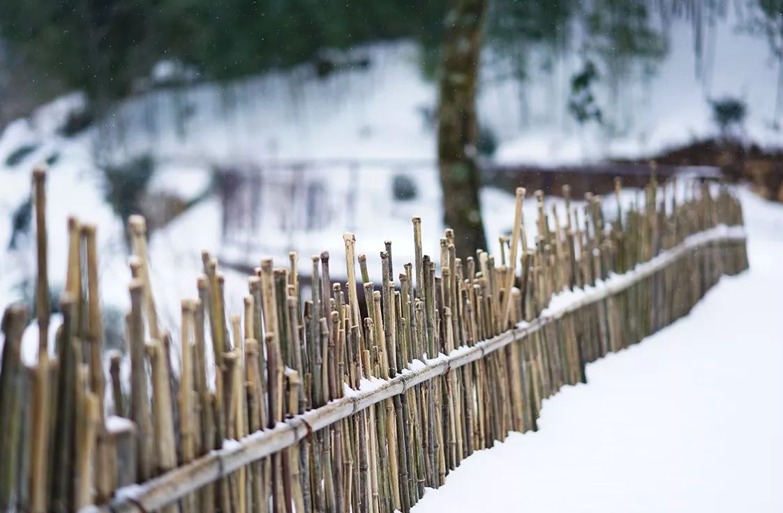 臨安·余來，讓生活重啟