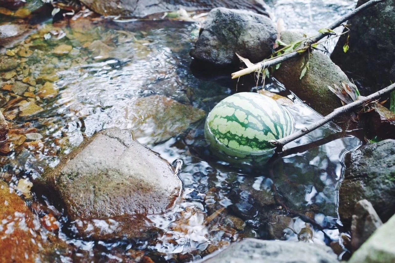 臨安·余來，讓生活重啟