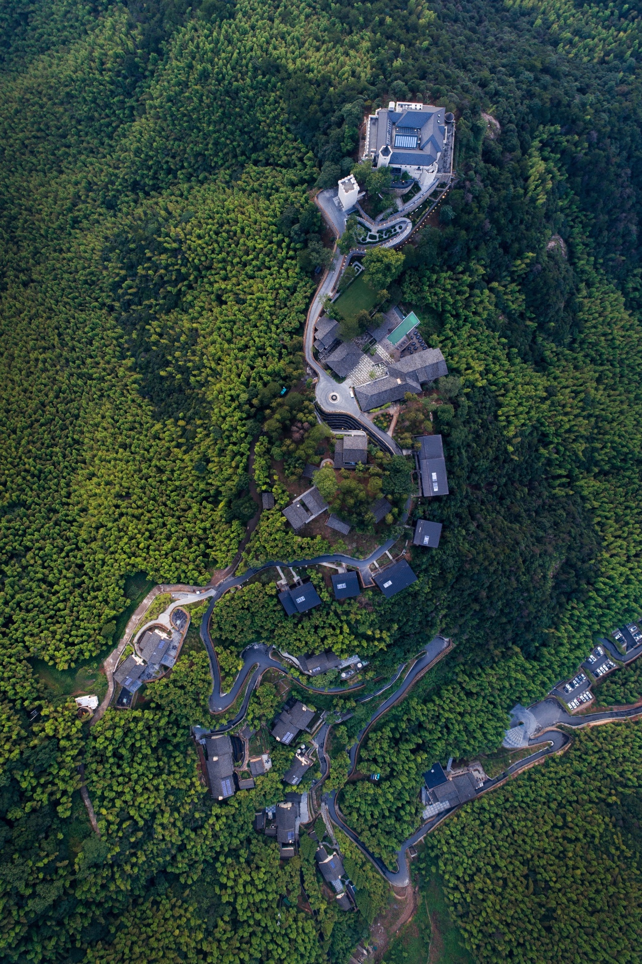 樹梢上的別墅建筑：6個比較火的“巢居”案例