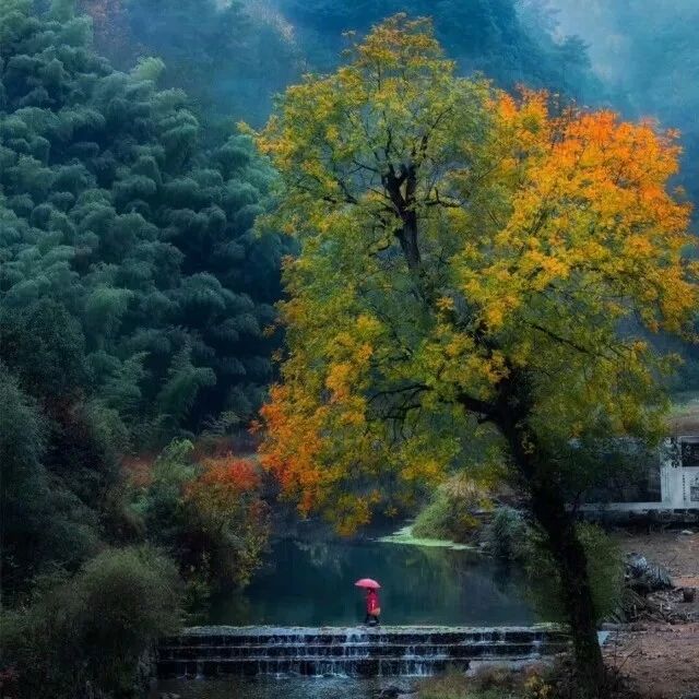 金華·村尚村宿，認(rèn)識自然尋回久違的童真