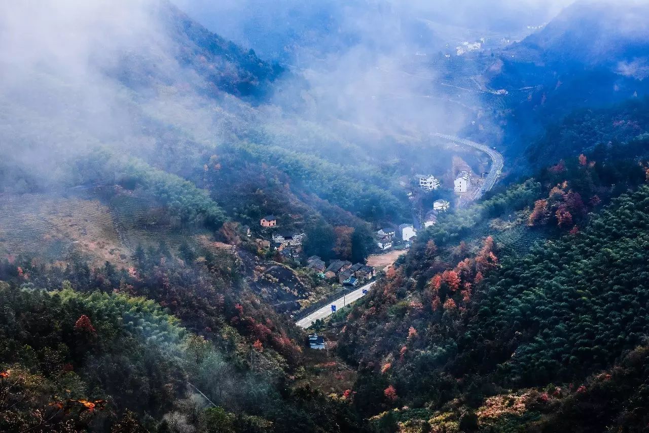 金華·村尚村宿，認(rèn)識自然尋回久違的童真