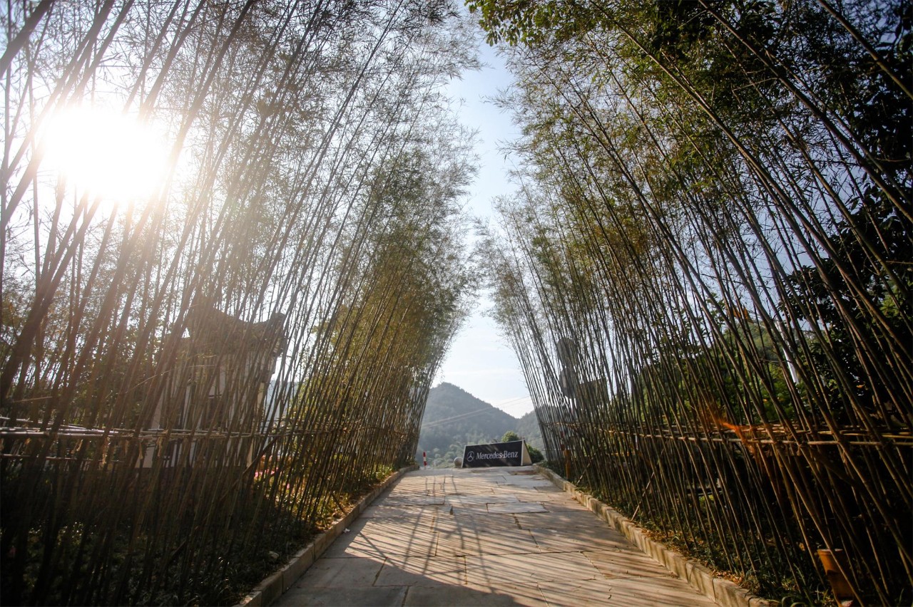 金華·村尚村宿，認(rèn)識自然尋回久違的童真