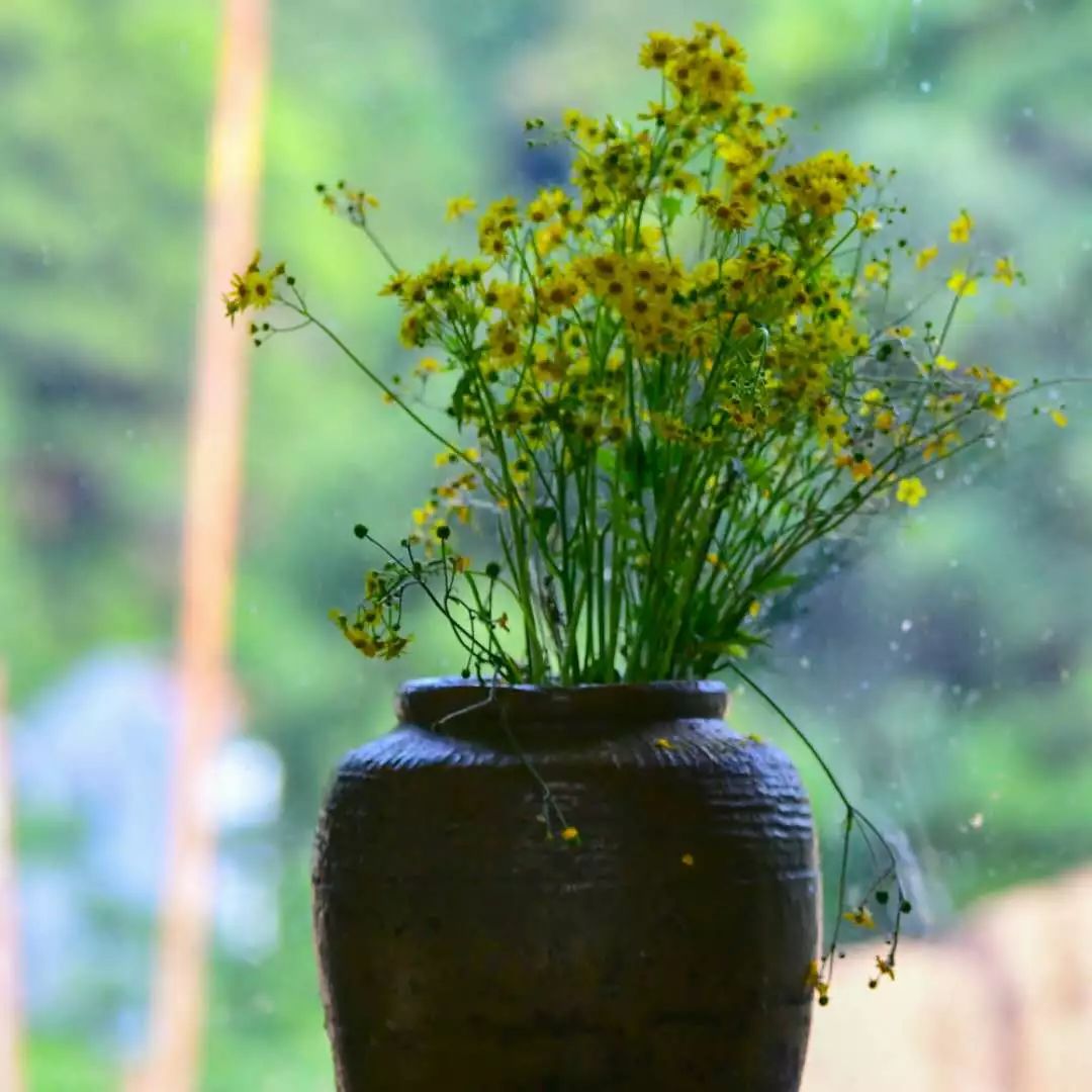 金華·村尚村宿，認(rèn)識自然尋回久違的童真