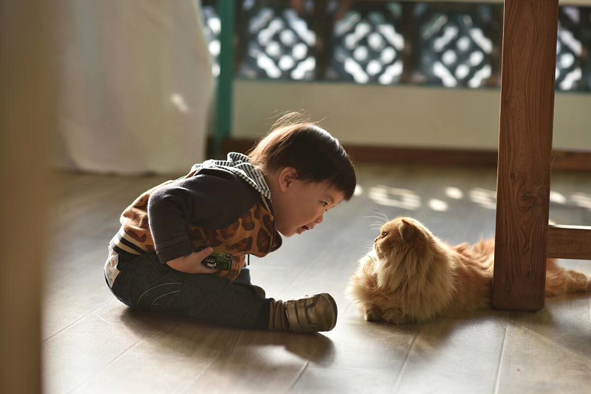 覺園1984，創(chuàng)造一個(gè)時(shí)空錯(cuò)亂的夢(mèng)境