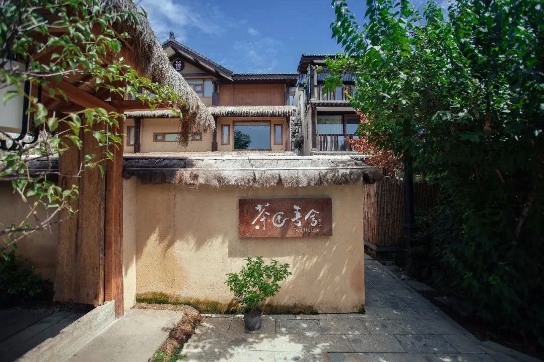 杭州·茶田秘境，有生之年盡情去折騰