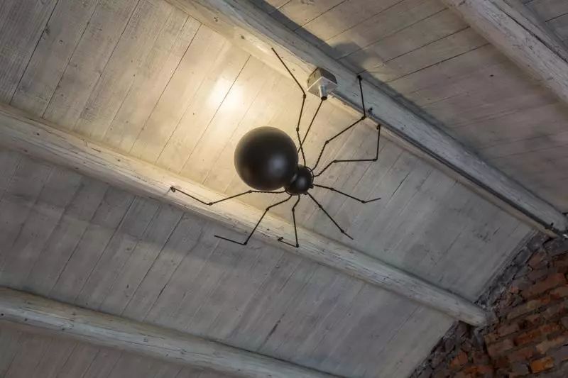 杭州·茶田秘境，有生之年盡情去折騰