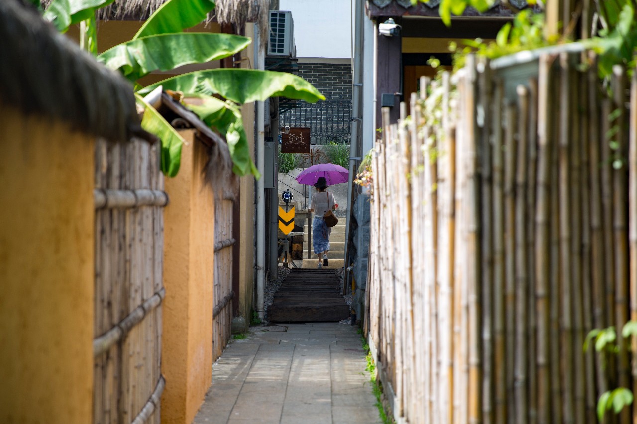 杭州·茶田秘境，有生之年盡情去折騰