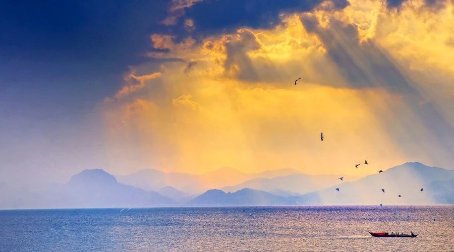 杭州·茶田秘境，有生之年盡情去折騰