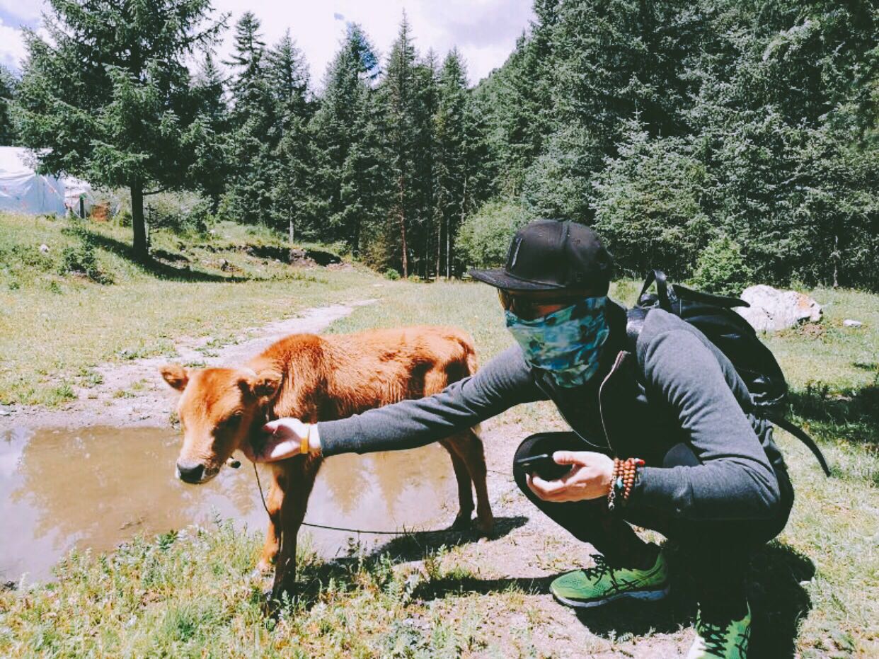 杭州·茶田秘境，有生之年盡情去折騰