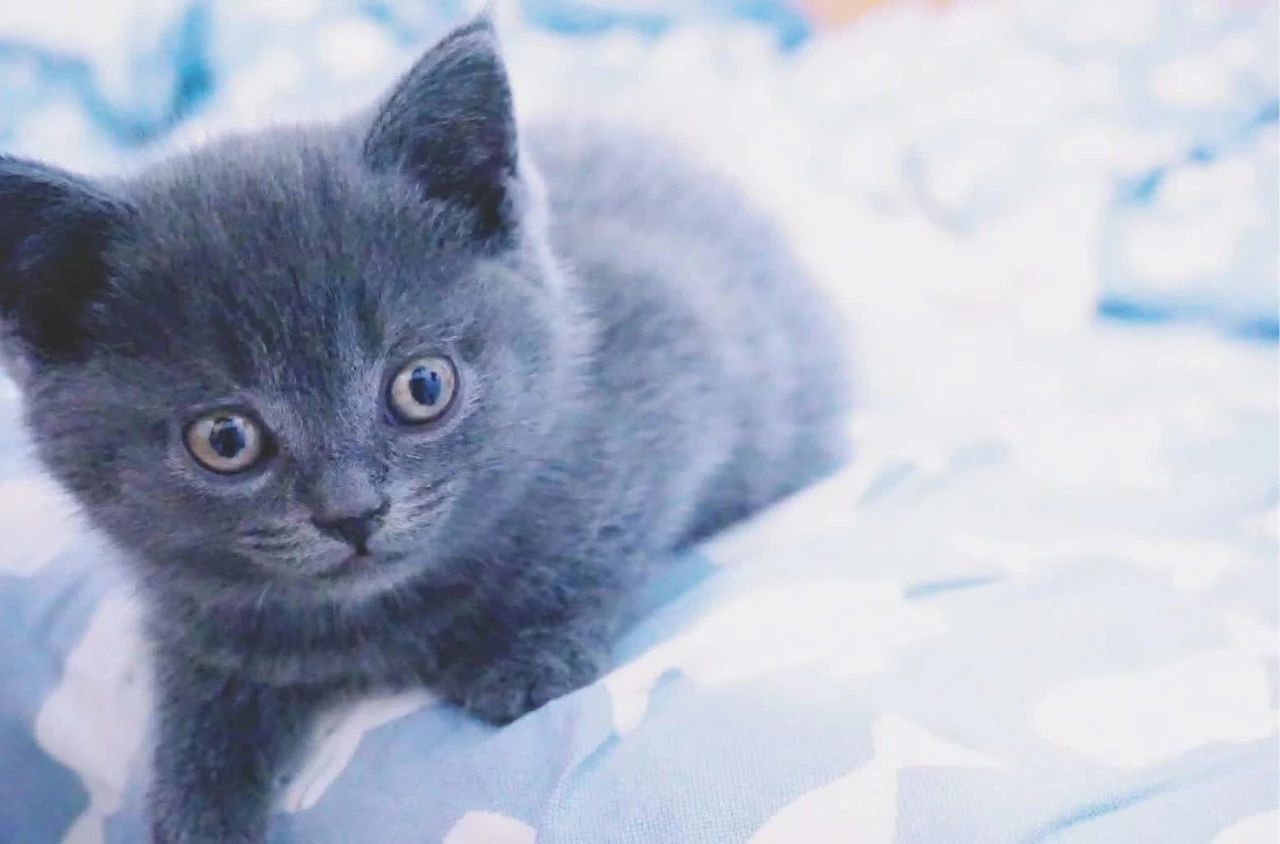 杭州·茶田秘境，有生之年盡情去折騰