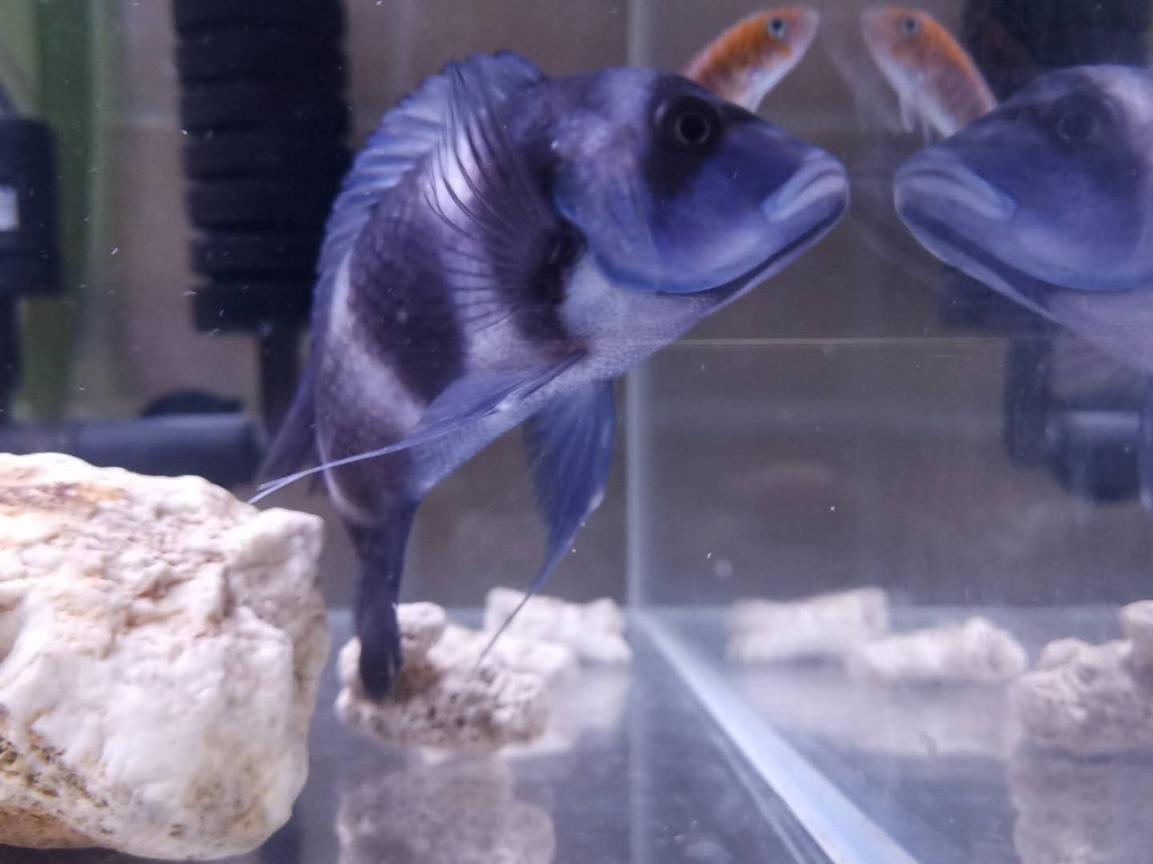 杭州·茶田秘境，有生之年盡情去折騰