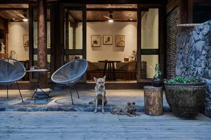 溫州·外水良藝境，一家溫州最美民宿之一