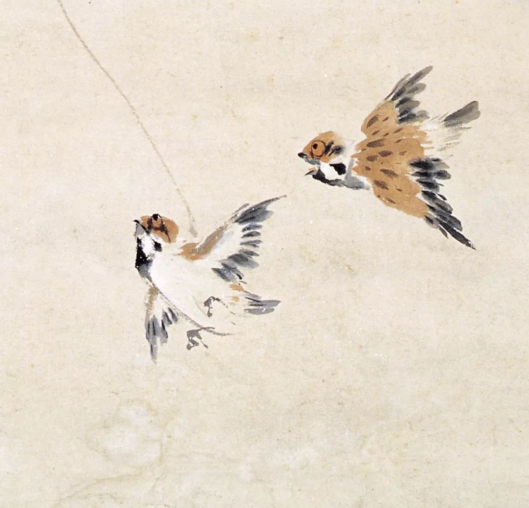 100幅禽鳥百圖，國畫鳥類美醉了！