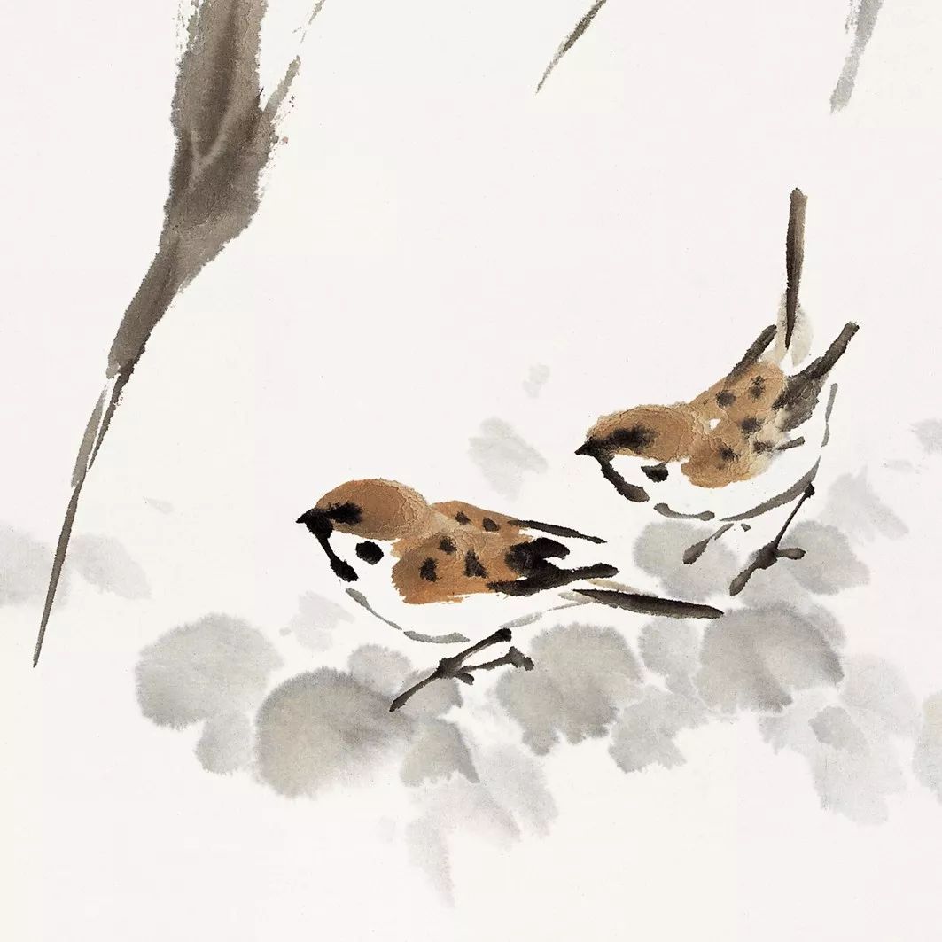 100幅禽鳥百圖，國畫鳥類美醉了！