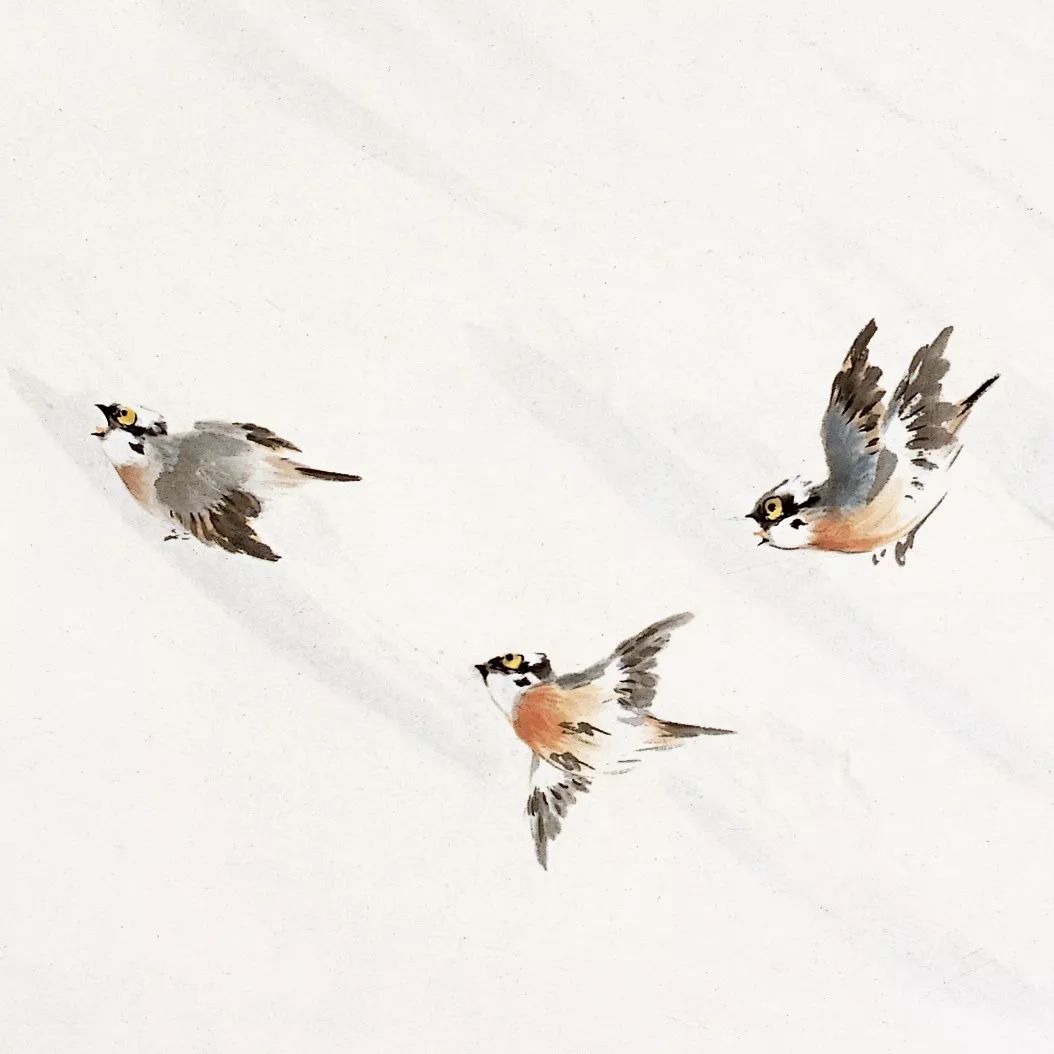 100幅禽鳥百圖，國畫鳥類美醉了！