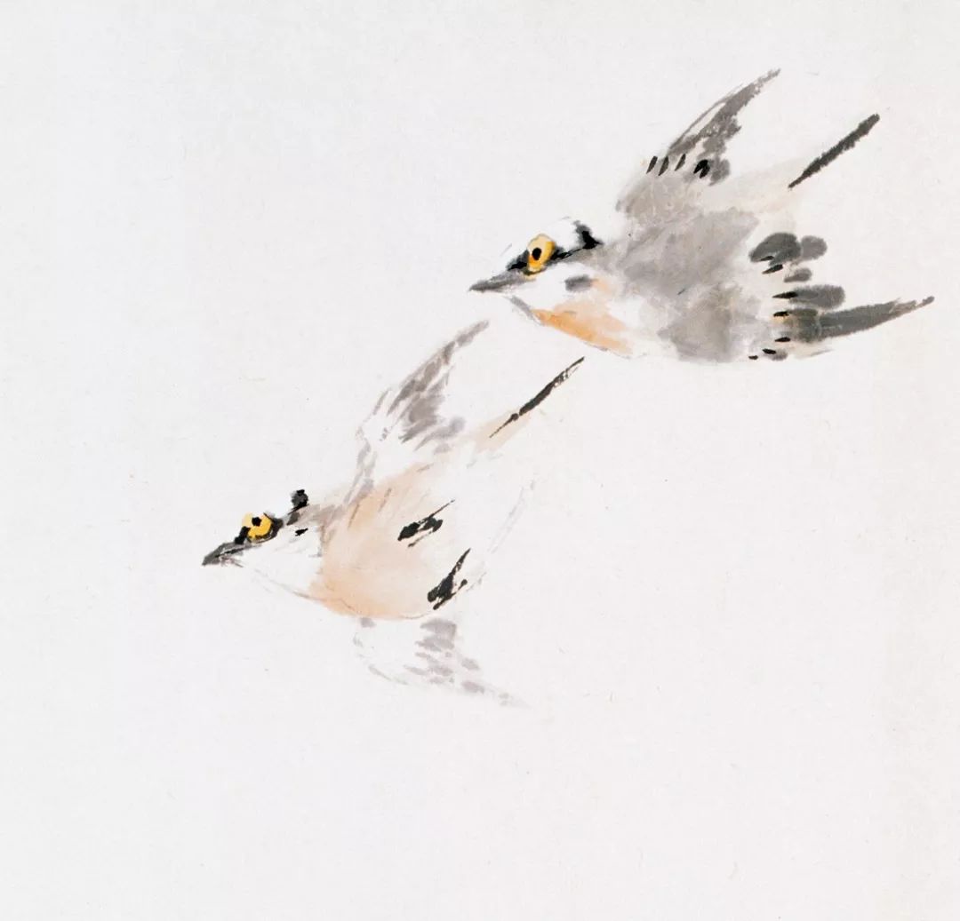 100幅禽鳥百圖，國畫鳥類美醉了！