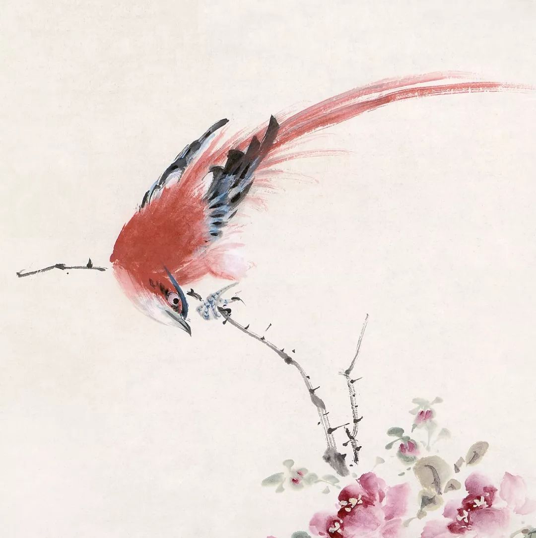100幅禽鳥百圖，國畫鳥類美醉了！