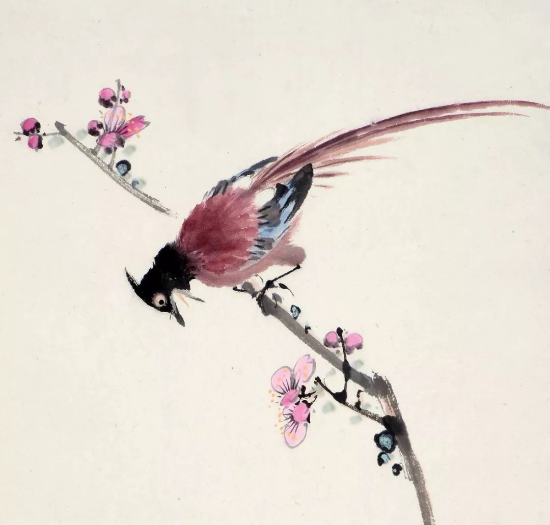 100幅禽鳥百圖，國畫鳥類美醉了！