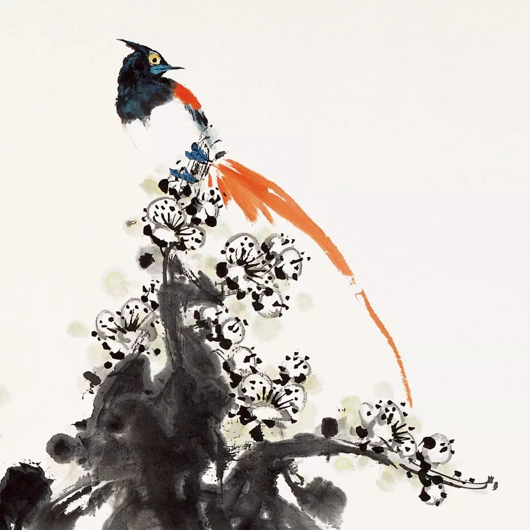 100幅禽鳥百圖，國畫鳥類美醉了！