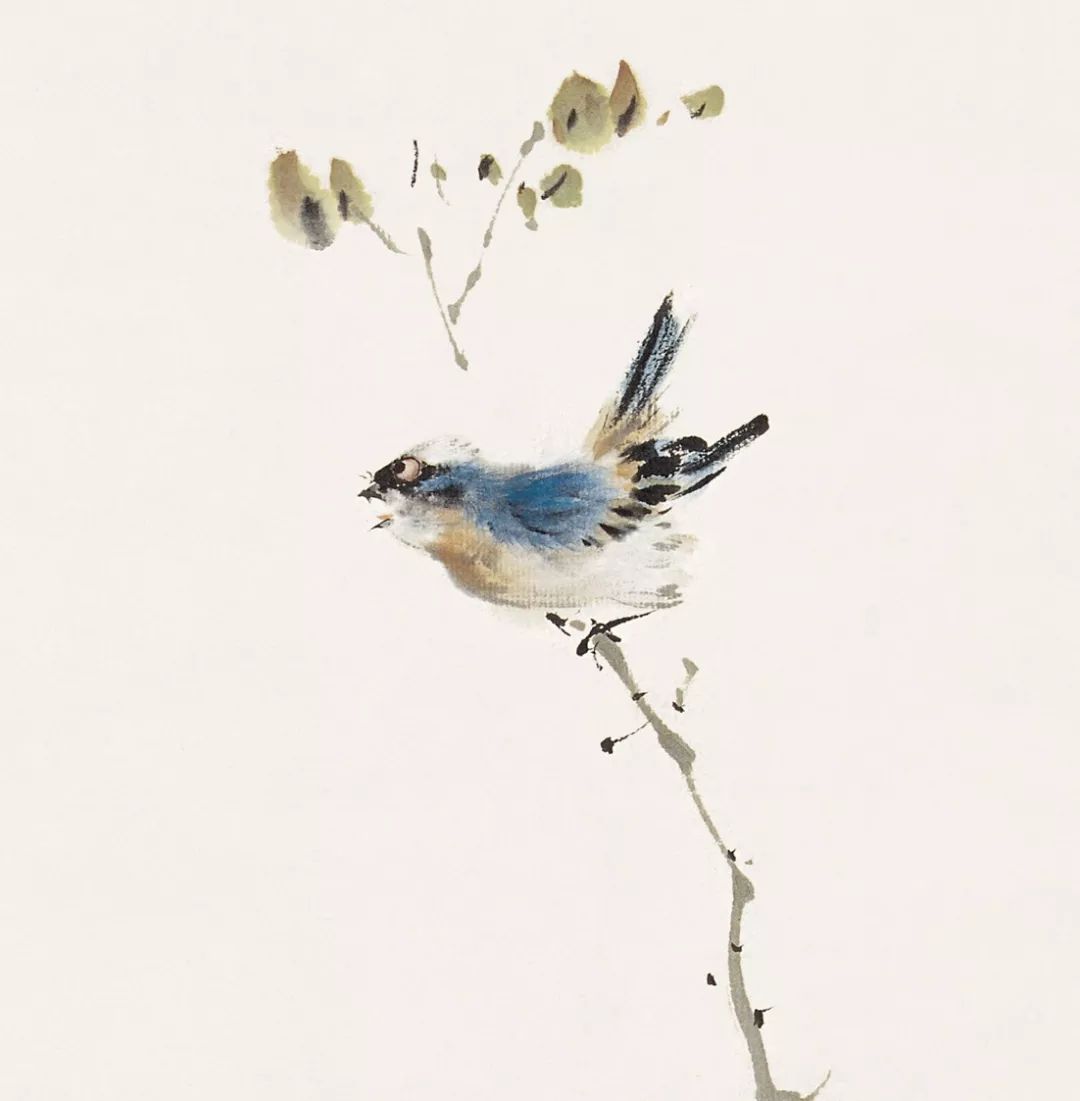 100幅禽鳥百圖，國畫鳥類美醉了！