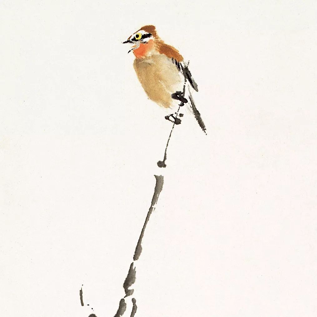 100幅禽鳥百圖，國畫鳥類美醉了！