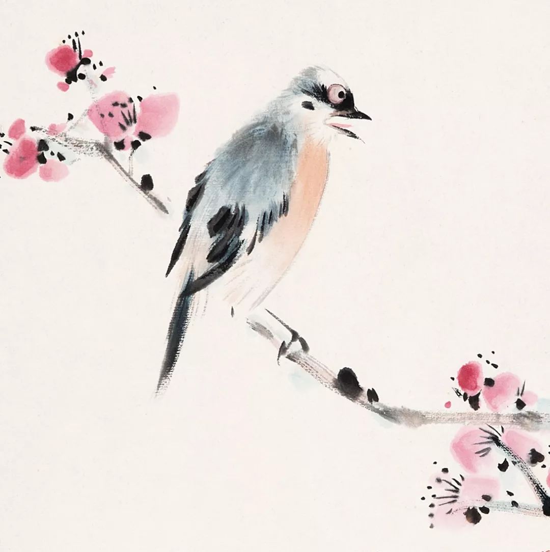 100幅禽鳥百圖，國畫鳥類美醉了！