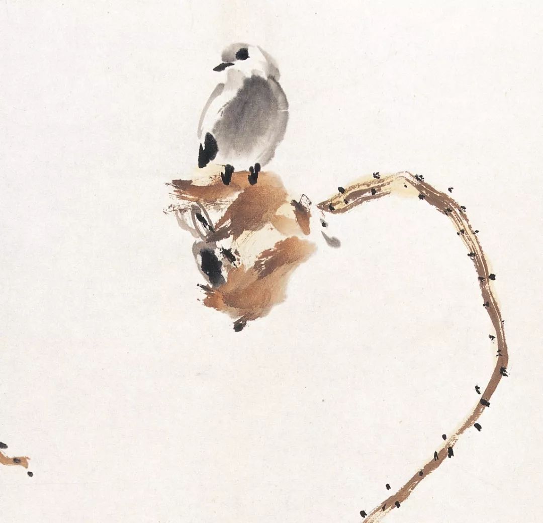 100幅禽鳥百圖，國畫鳥類美醉了！