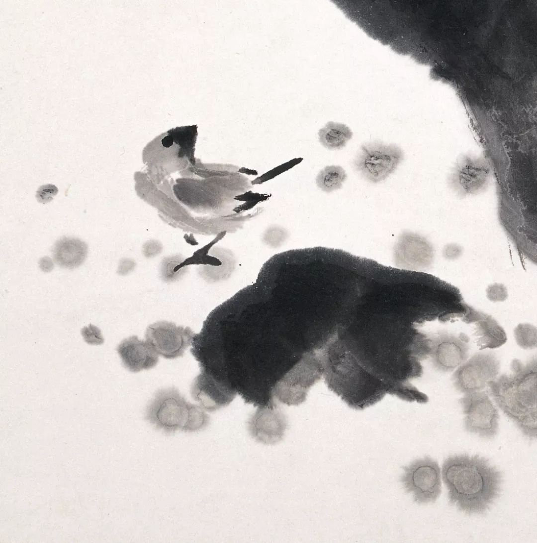 100幅禽鳥百圖，國畫鳥類美醉了！