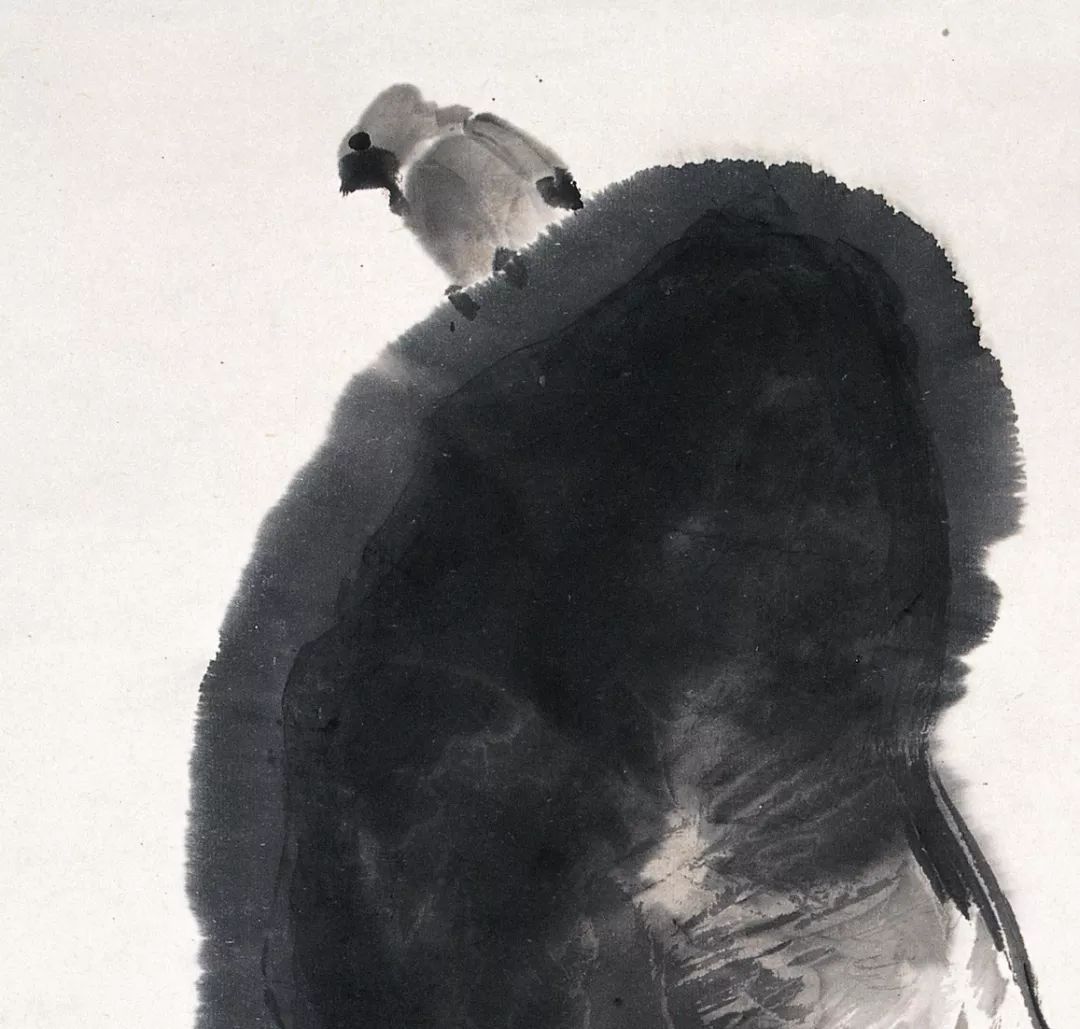 100幅禽鳥百圖，國畫鳥類美醉了！