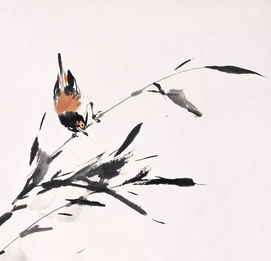 100幅禽鳥百圖，國畫鳥類美醉了！