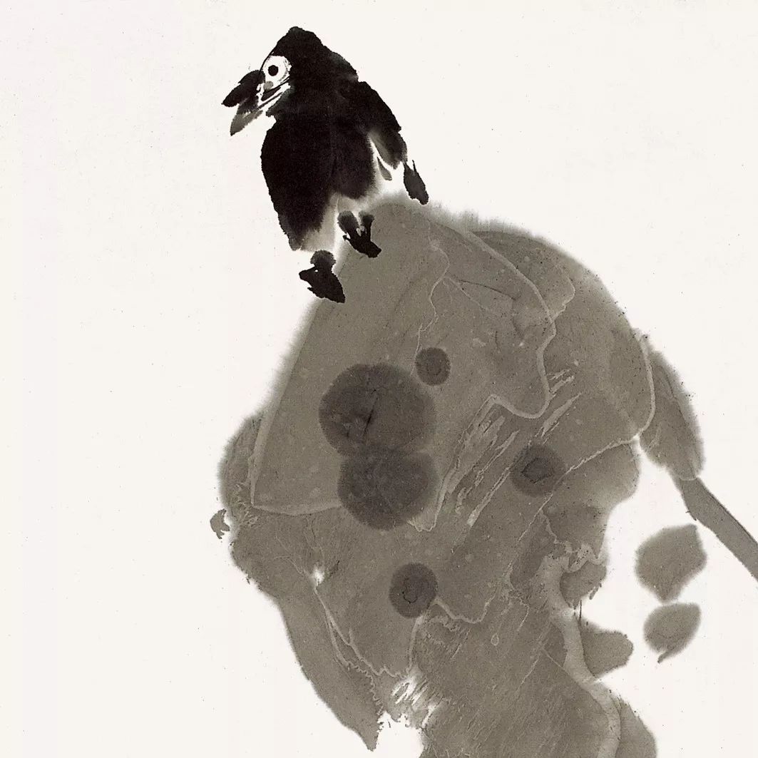 100幅禽鳥百圖，國畫鳥類美醉了！