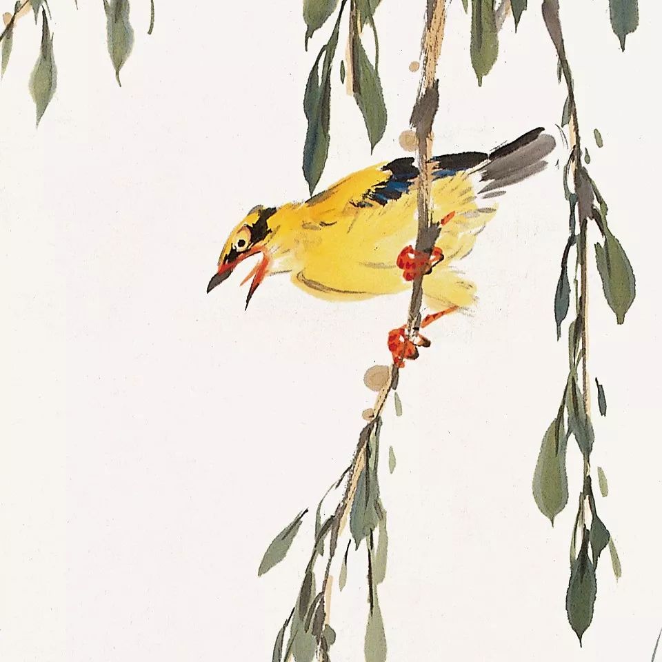 100幅禽鳥百圖，國畫鳥類美醉了！