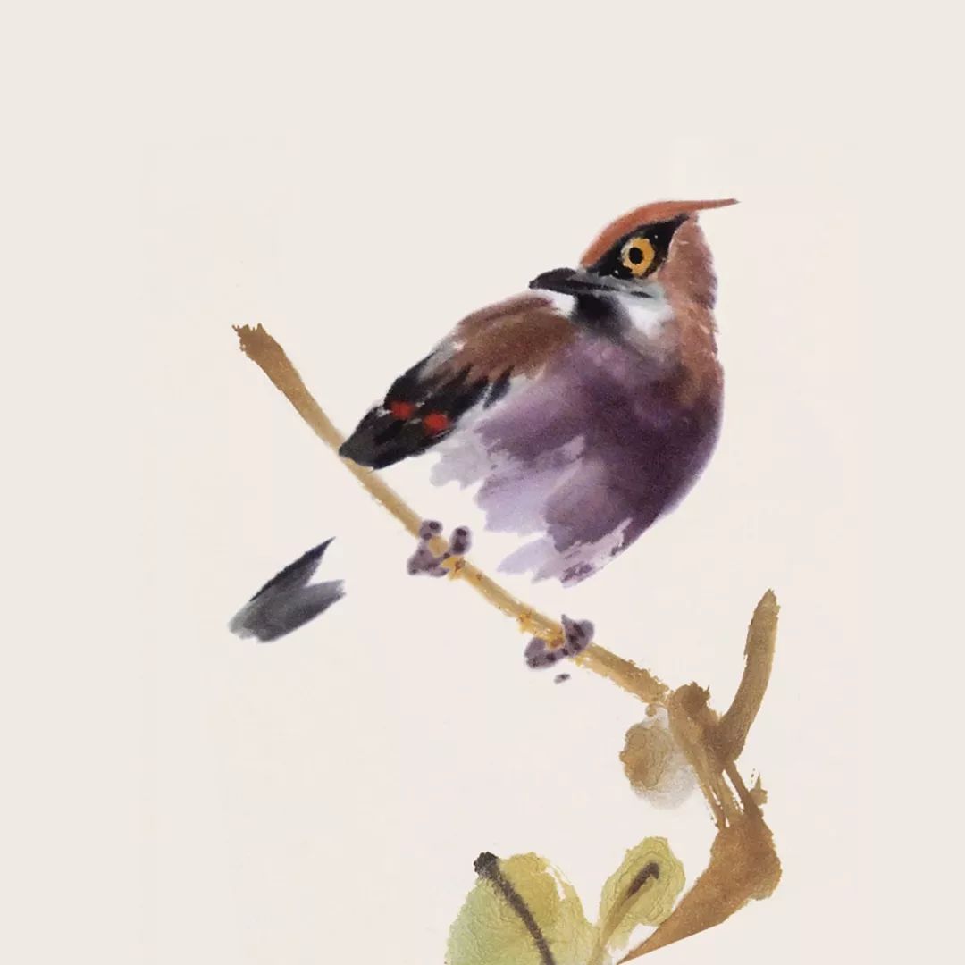 100幅禽鳥百圖，國畫鳥類美醉了！