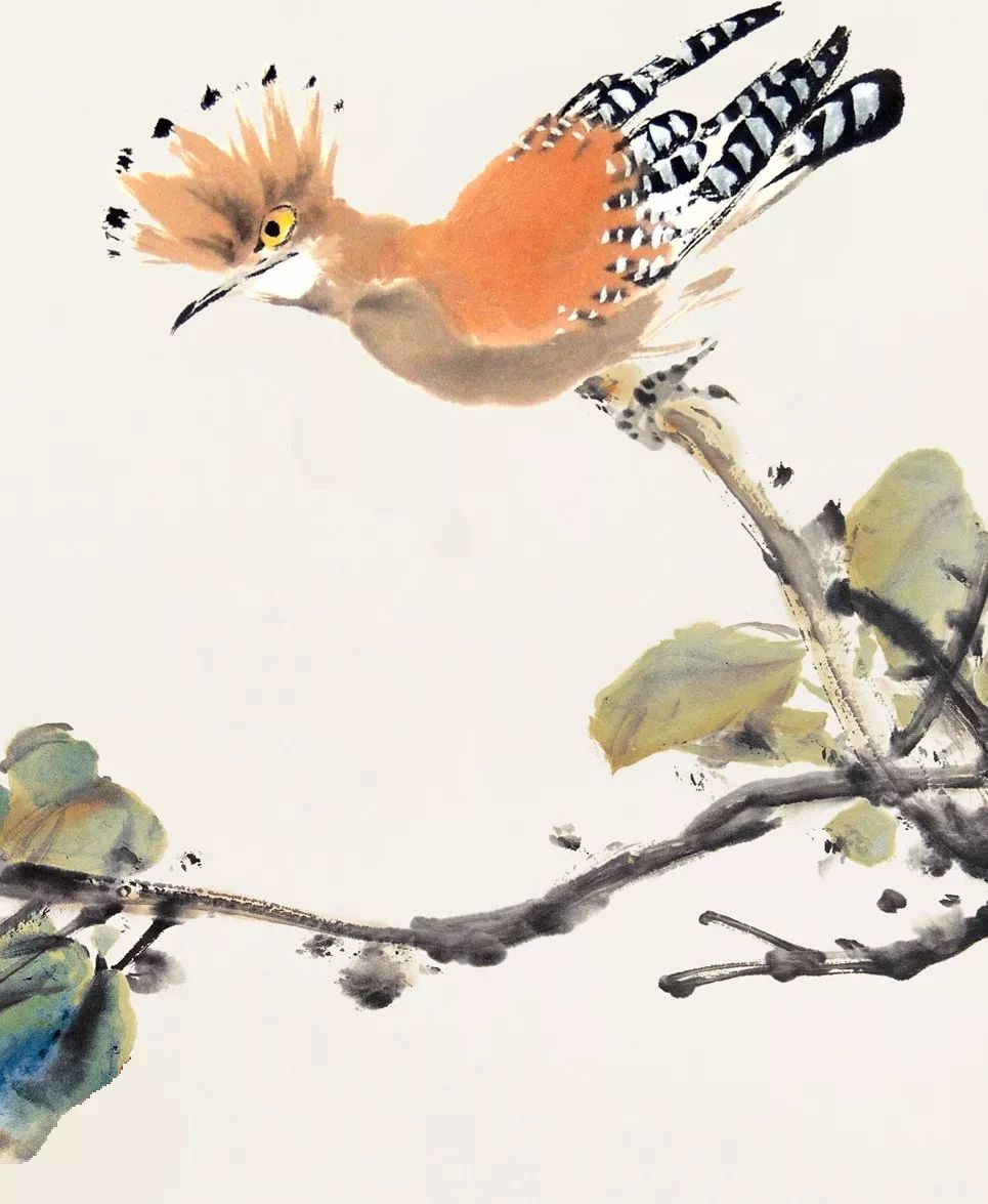100幅禽鳥百圖，國畫鳥類美醉了！
