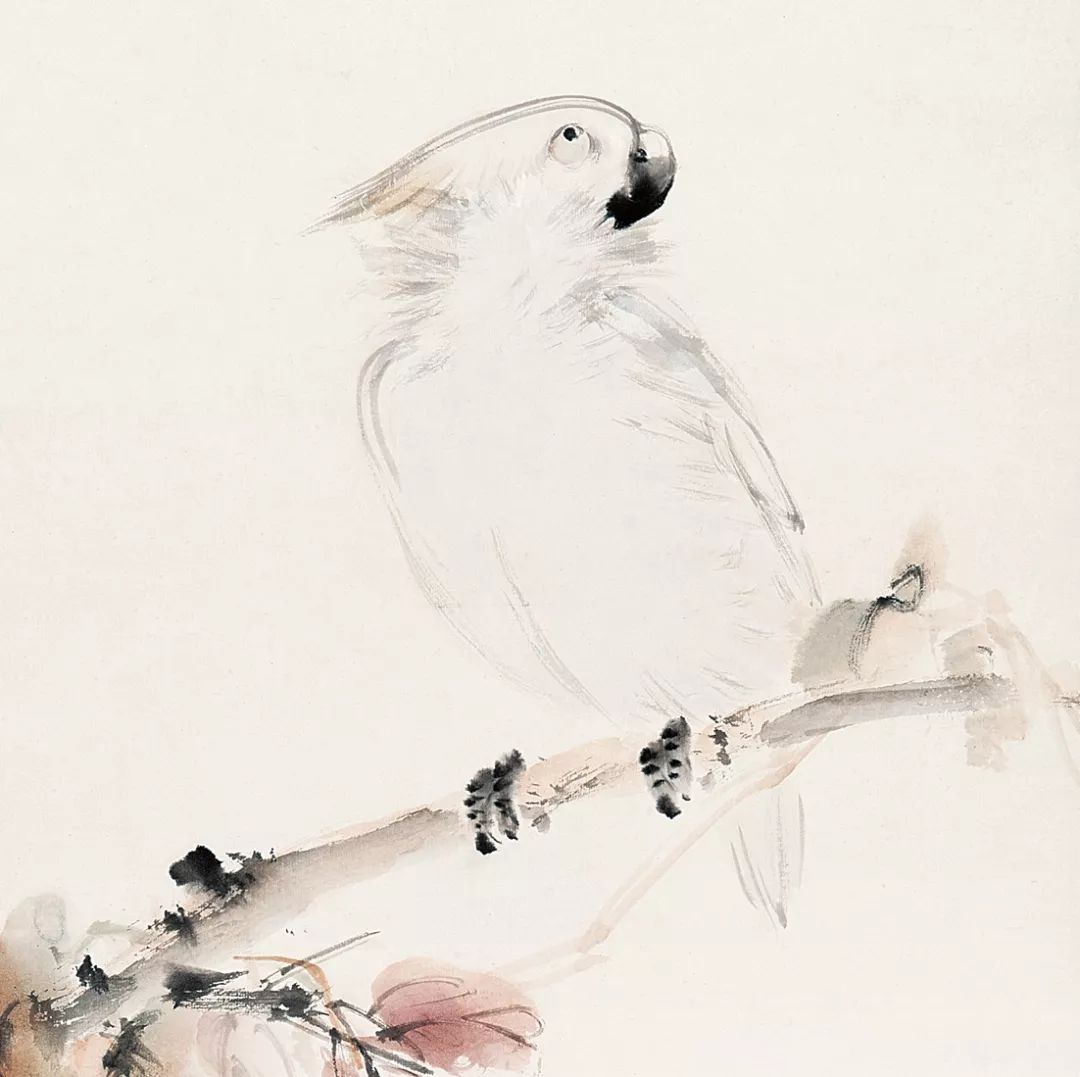 100幅禽鳥百圖，國畫鳥類美醉了！