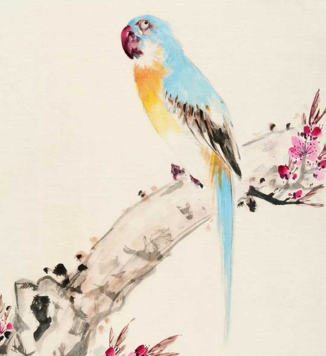 100幅禽鳥百圖，國畫鳥類美醉了！