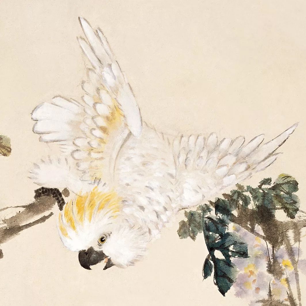 100幅禽鳥百圖，國畫鳥類美醉了！