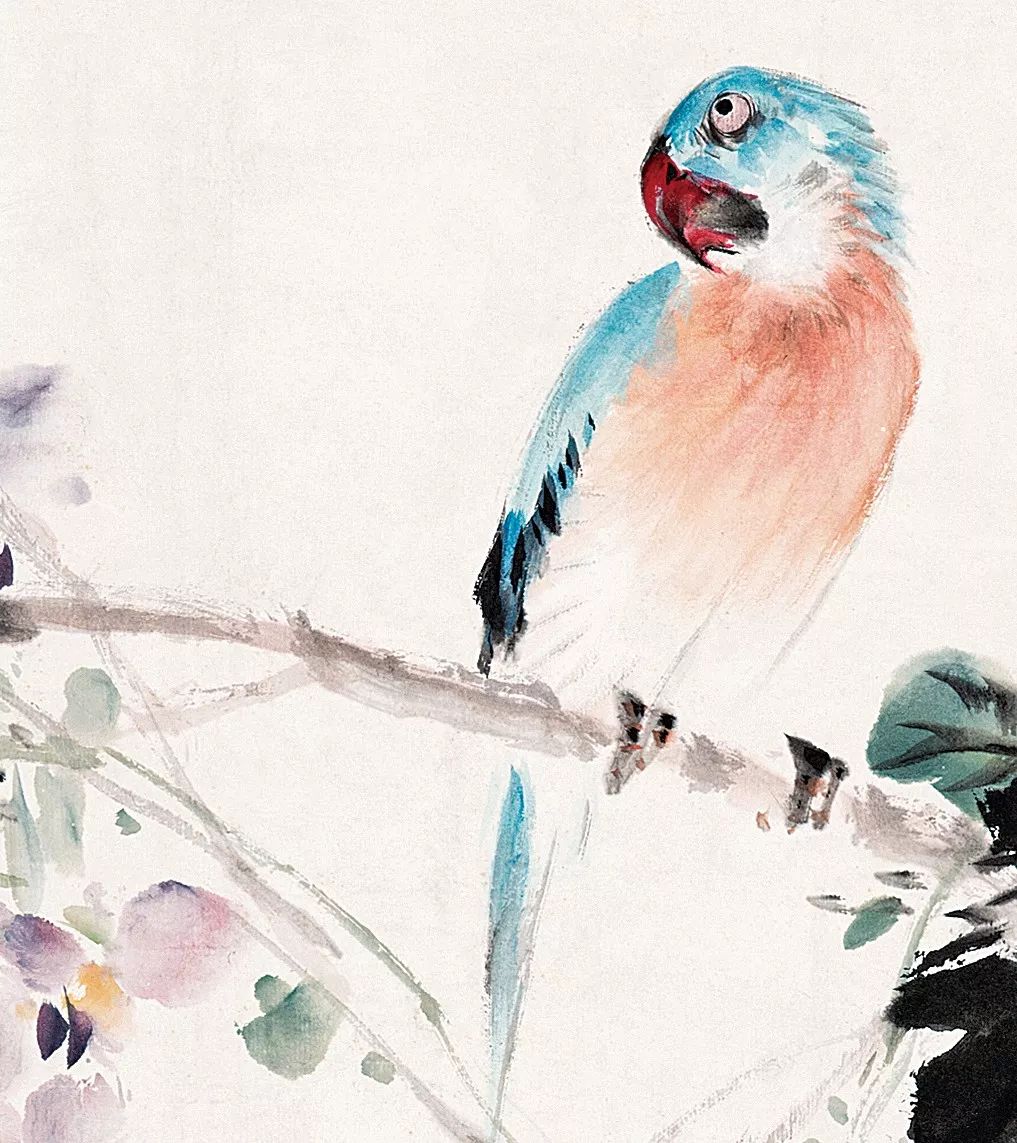 100幅禽鳥百圖，國畫鳥類美醉了！